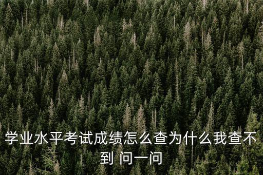 學業水平考試成績怎么查為什么我查不到 問一問