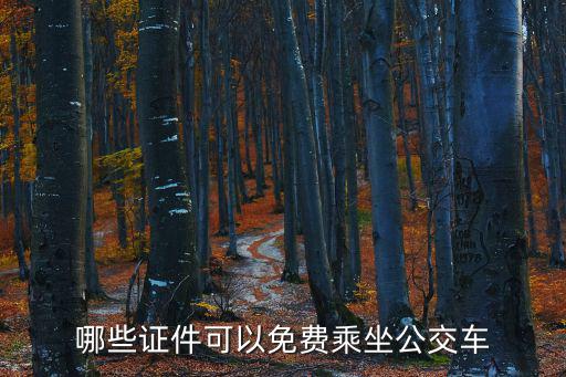 哪些證件可以免費乘坐公交車
