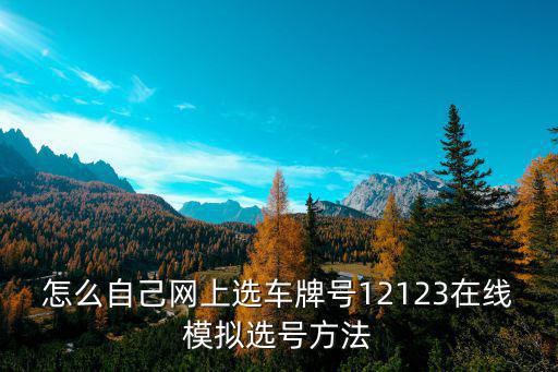 在線選號，怎么自己網(wǎng)上選車牌號12123在線模擬選號方法