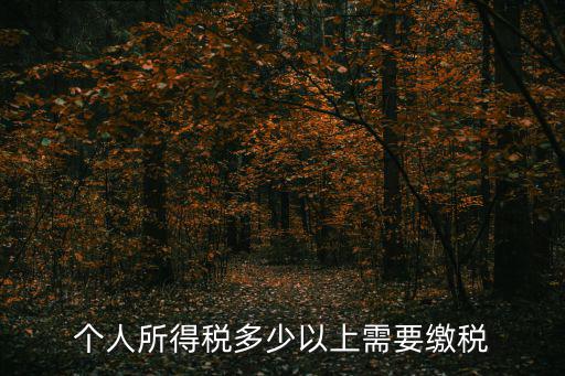 個人所得稅多少以上需要繳稅