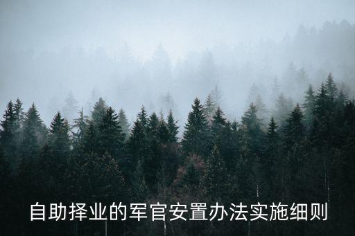 自助擇業的軍官安置辦法實施細則