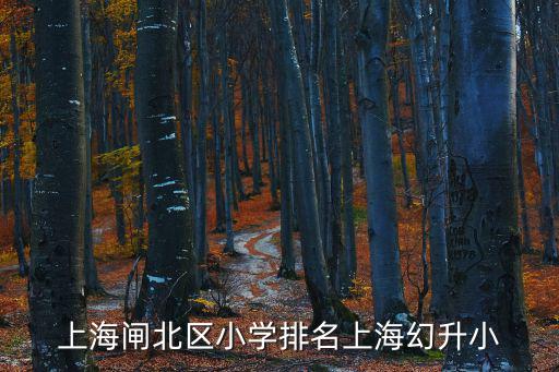 天府新區小學排名，天府新區麓湖南片區在哪里