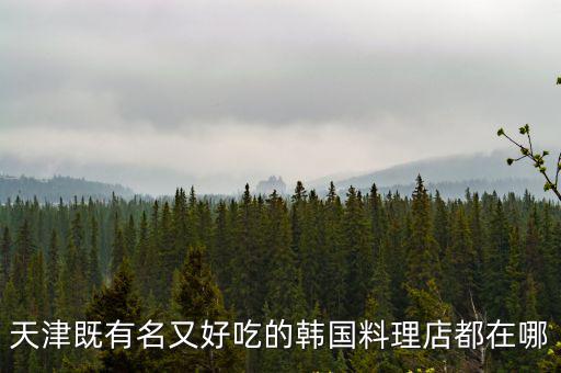天津既有名又好吃的韓國料理店都在哪