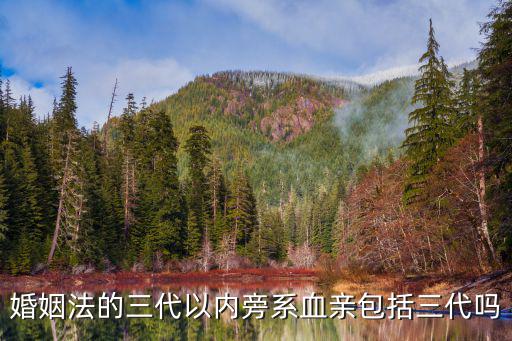婚姻法的三代以內(nèi)旁系血親包括三代嗎