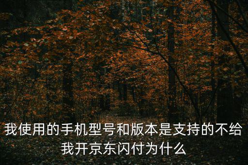 手機閃付，蘋果手機美團閃付怎么刷公交
