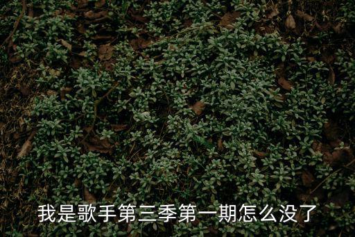 我是歌手第三季第一期怎么沒了