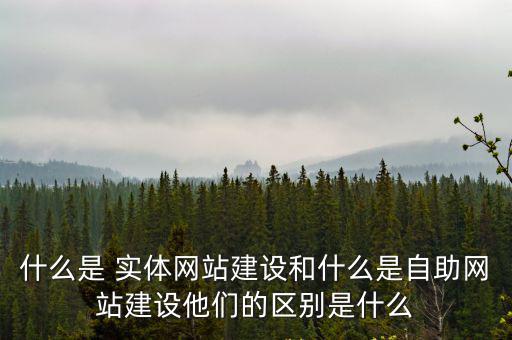 什么是 實體網站建設和什么是自助網站建設他們的區別是什么