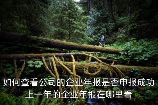 如何查看公司的企業(yè)年報(bào)是否申報(bào)成功上一年的企業(yè)年報(bào)在哪里看