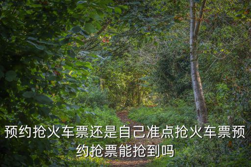 預訂火車票，預訂火車票是12306還是攜程