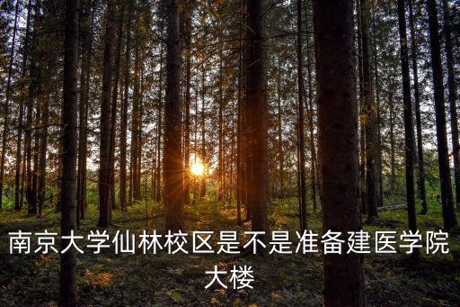 南京大學(xué)仙林校區(qū)是不是準(zhǔn)備建醫(yī)學(xué)院大樓