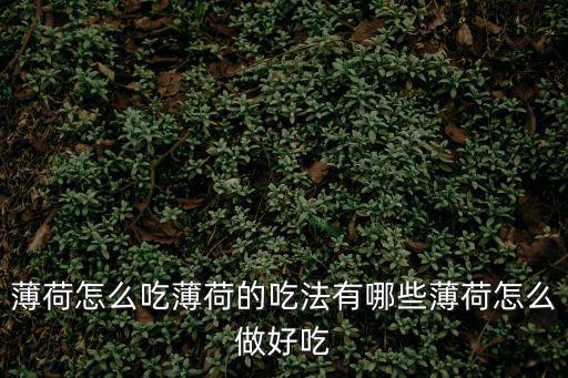 薄荷糕，創造與魔法薄荷糕配方