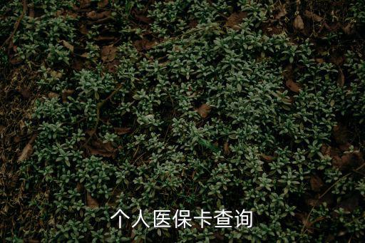 個人醫保卡查詢