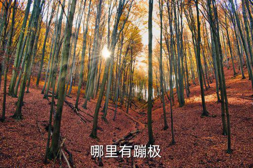 蹦極哪里有，哪兒有蹦極的地方