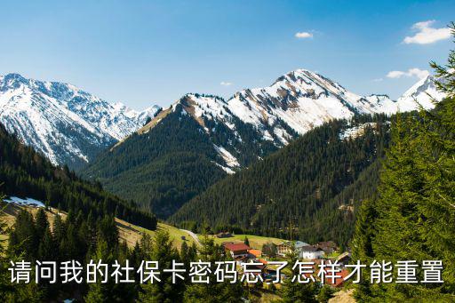 社保卡密碼忘記了怎么找回，請問我的社保卡密碼忘了怎樣才能重置