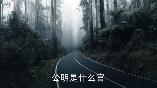 公明是什么官