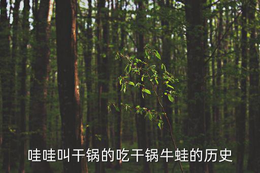哇哇叫干鍋的吃干鍋牛蛙的歷史