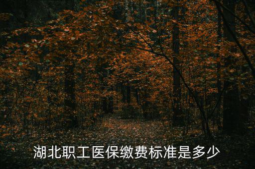 湖北職工醫(yī)保繳費標準是多少