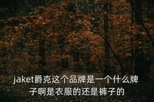 jaket，jaket這個的中國意思是什么
