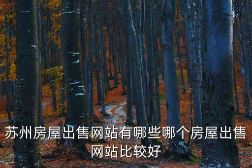 蘇州房屋出售網站有哪些哪個房屋出售網站比較好
