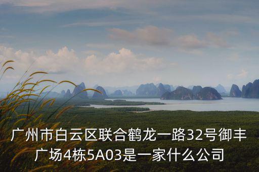 廣州市白云區聯合鶴龍一路32號御豐廣場4棟5A03是一家什么公司