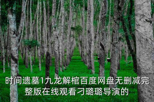 時間遺墓，時間遺墓1九龍解棺