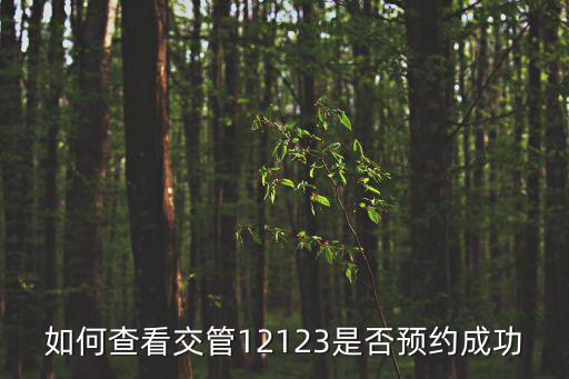 預約成功，駕校預約考試怎樣才算預約成功受理中是成功了嗎