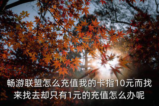 暢游聯盟卡，暢游聯盟怎么充值我的卡指10元而找來找去卻只有1元的充值怎么辦呢