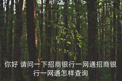 你好 請問一下招商銀行一網通招商銀行一網通怎樣查詢