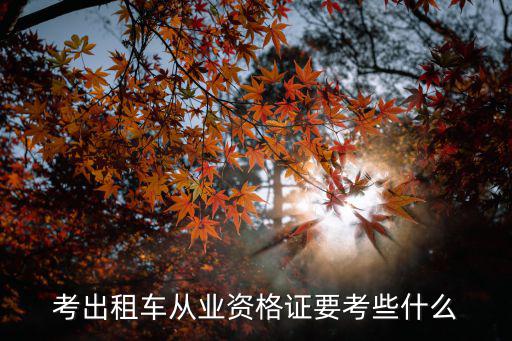 考出租車從業(yè)資格證要考些什么