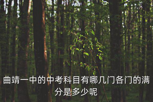 中考科目有哪些，曲靖一中的中考科目有哪幾門各門的滿分是多少呢