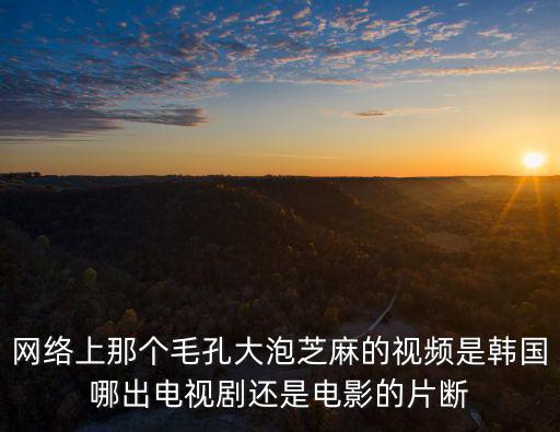 網(wǎng)絡(luò)上那個(gè)毛孔大泡芝麻的視頻是韓國(guó)哪出電視劇還是電影的片斷