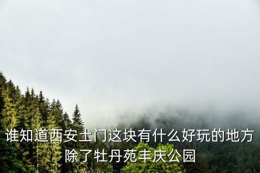 誰知道西安土門這塊有什么好玩的地方除了牡丹苑豐慶公園