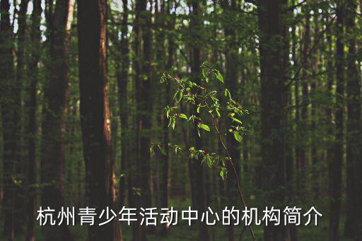杭州市青少年，杭州青少年活動中心的機構簡介