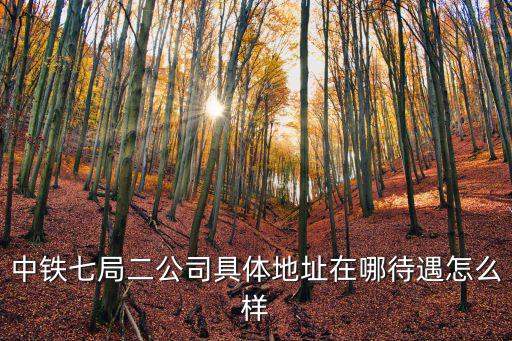 中鐵七局二公司，我是中鐵七局二公司職工一直沒上班公司一直以沒工程項目為由內部