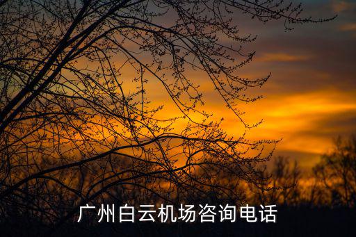 廣州白云機場咨詢電話