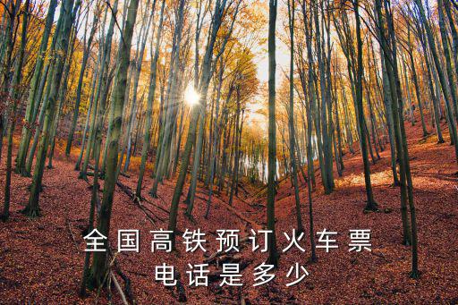 全 國 高 鐵 預(yù) 訂 火 車 票 電 話 是 多 少