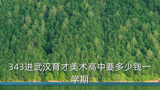 343進武漢育才美術高中要多少錢一學期