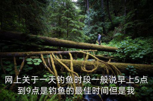 網上關于一天釣魚時段一般說早上5點到9點是釣魚的最佳時間但是我
