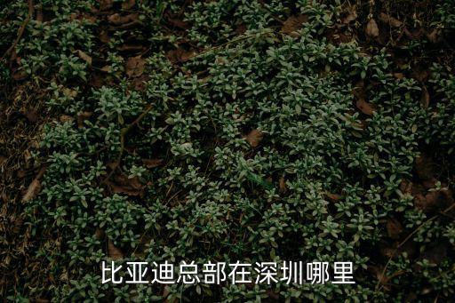 比亞迪總部在深圳哪里