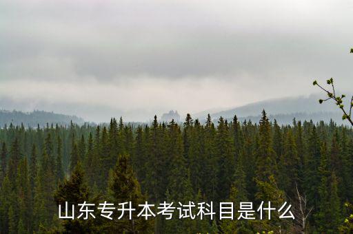 山東專升本考試大綱，山東專升本高數一考試大綱那年開始更改的