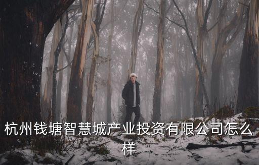 錢塘智慧城，錢塘智慧城管委會是什么級別和未科對比
