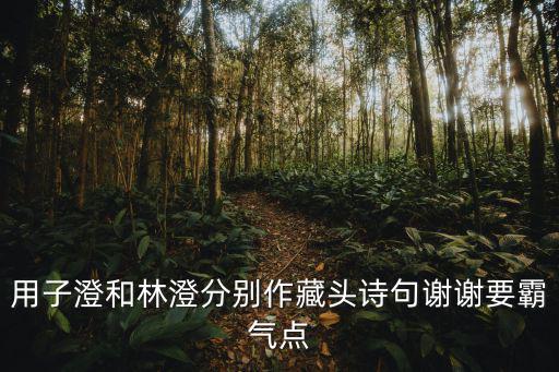用子澄和林澄分別作藏頭詩句謝謝要霸氣點