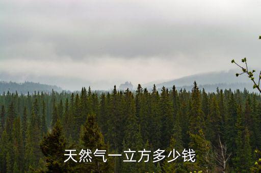 天然氣一立方多少錢