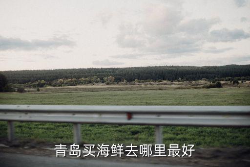 青島買海鮮去哪里最好