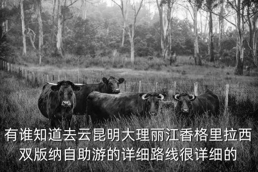 昆明自助游，想在昆明自助游玩一兩天能提供一日游或者二日游的路線謝謝百度知