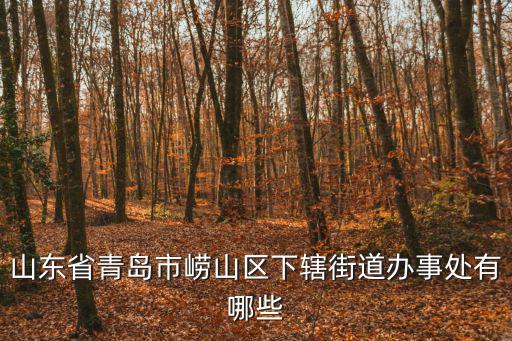 山東省青島市嶗山區(qū)下轄街道辦事處有哪些