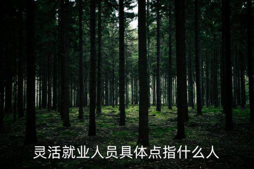 靈活就業人員具體點指什么人