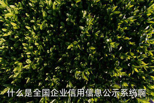 什么是全國企業信用信息公示系統啊