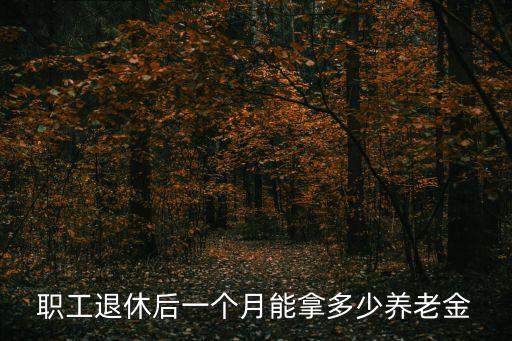 職工退休后一個(gè)月能拿多少養(yǎng)老金