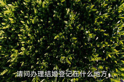 請問辦理結婚登記在什么地方